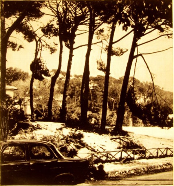 1965 Monte Mario Neve a Roma 9 Febbraio a