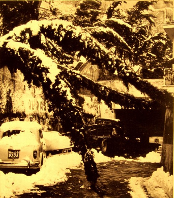 1965 Neve a Roma 9 febbraio
