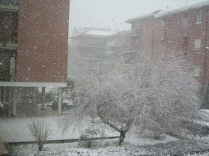 DSCN3259