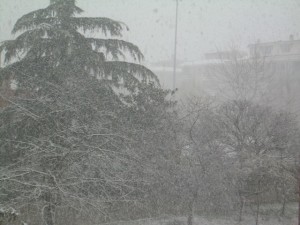 DSCN3260