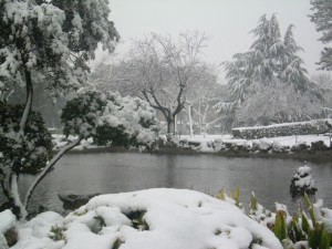 DSCN3284
