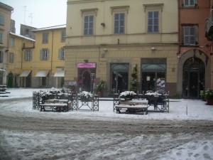 DSCN3291