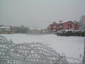 DSCN3307
