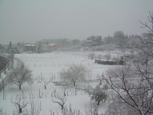 DSCN3311
