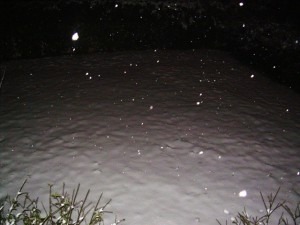 DSCN3330