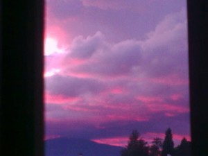 IMG_1030